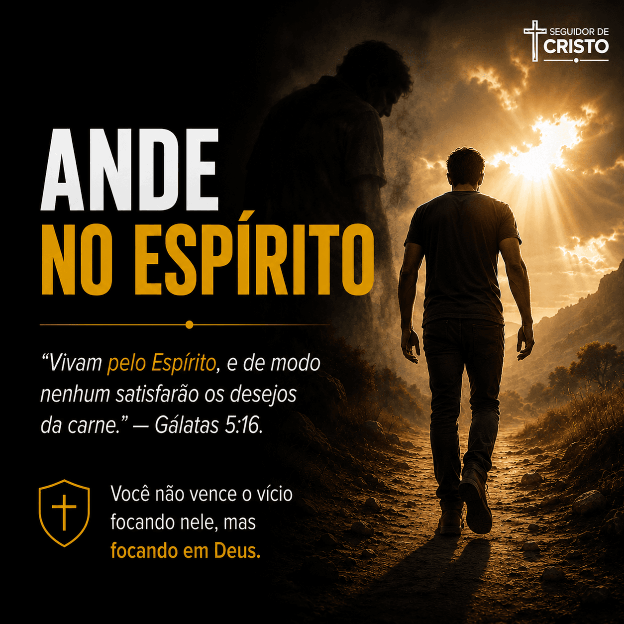 adsadad